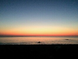 Hand to Earth by Rebecca Brewin