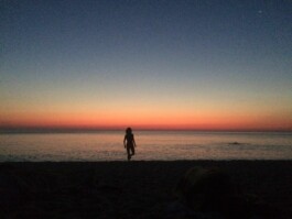 Hand to Earth by Rebecca Brewin