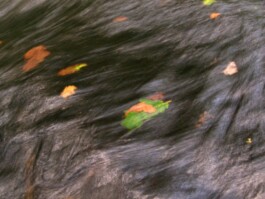 Hand to Earth by Rebecca Brewin