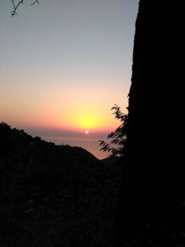 Hand to Earth by Rebecca Brewin