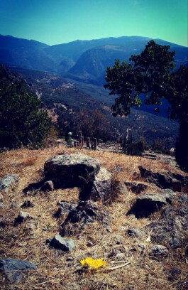 Hand to Earth by Rebecca Brewin