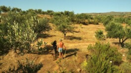 Hand to Earth by Rebecca Brewin