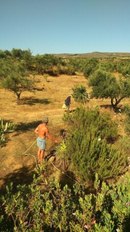 Hand to Earth by Rebecca Brewin