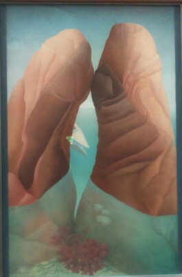 Hand to Earth by Rebecca Brewin