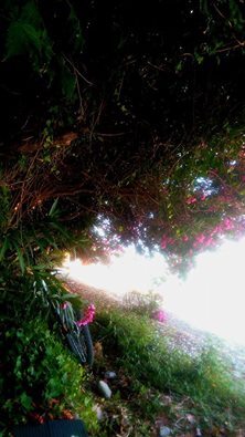 Hand to Earth by Rebecca Brewin