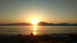 Hand to Earth by Rebecca Brewin