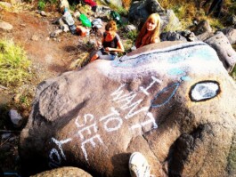 Hand to Earth by Rebecca Brewin