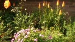 Hand to Earth by Rebecca Brewin