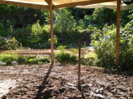 Hand to Earth by Rebecca Brewin