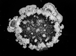 Hand to Earth by Rebecca Brewin