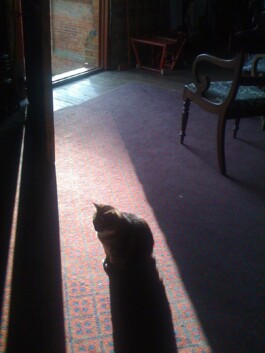 Hand to Earth by Rebecca Brewin