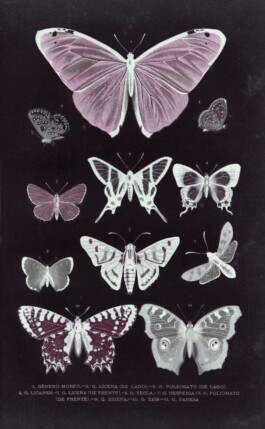 Hand to Earth by Rebecca Brewin