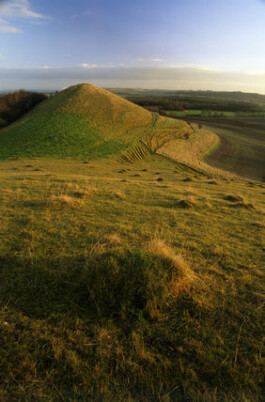 Hand to Earth by Rebecca Brewin