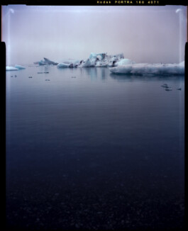 Hand to Earth by Rebecca Brewin