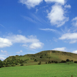 Hand to Earth by Rebecca Brewin