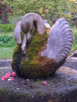 Hand to Earth by Rebecca Brewin