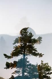 Hand to Earth by Rebecca Brewin