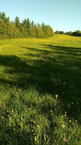 Hand to Earth by Rebecca Brewin