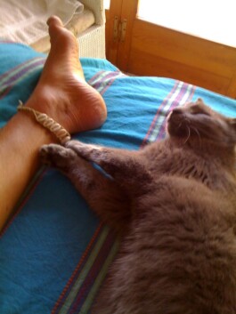 Hand to Earth by Rebecca Brewin