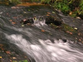 Hand to Earth by Rebecca Brewin