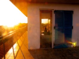 Hand to Earth by Rebecca Brewin