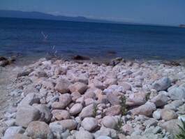 Hand to Earth by Rebecca Brewin