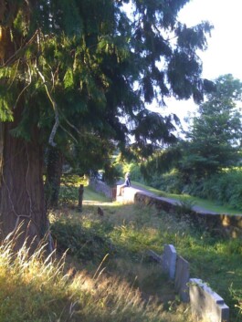 Hand to Earth by Rebecca Brewin