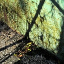 Hand to Earth by Rebecca Brewin