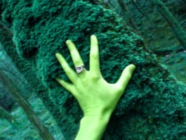 Hand to Earth by Rebecca Brewin