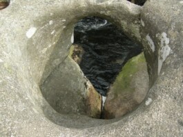 Hand to Earth by Rebecca Brewin