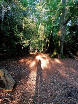 Hand to Earth by Rebecca Brewin