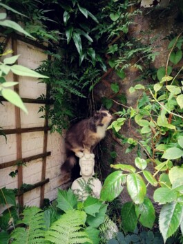 Hand to Earth by Rebecca Brewin