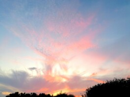 Hand to Earth by Rebecca Brewin