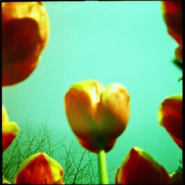 Hand to Earth by Rebecca Brewin