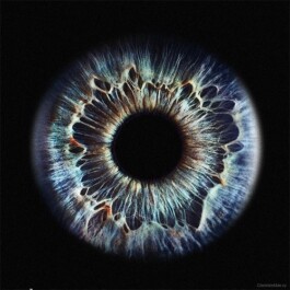 Hand to Earth by Rebecca Brewin