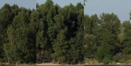 Hand to Earth by Rebecca Brewin