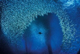 Hand to Earth by Rebecca Brewin