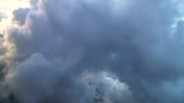 Hand to Earth by Rebecca Brewin