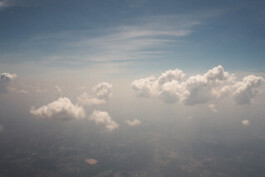 Hand to Earth by Rebecca Brewin