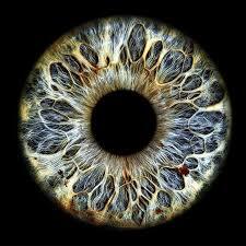 Hand to Earth by Rebecca Brewin