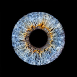 Hand to Earth by Rebecca Brewin