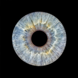 Hand to Earth by Rebecca Brewin