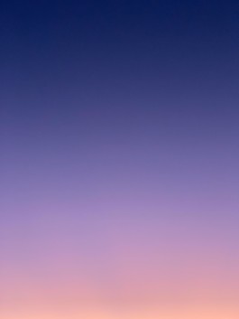 Hand to Earth by Rebecca Brewin