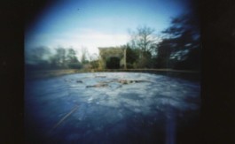 Hand to Earth by Rebecca Brewin