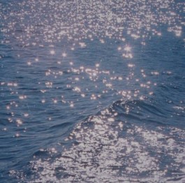 Hand to Earth by Rebecca Brewin