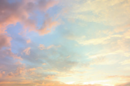 Hand to Earth by Rebecca Brewin