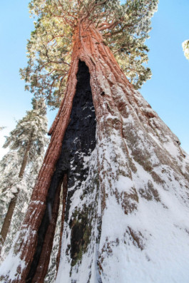 Hand to Earth by Rebecca Brewin