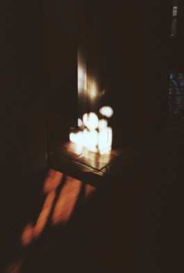 Hand to Earth by Rebecca Brewin