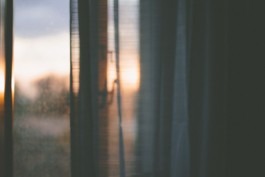 Hand to Earth by Rebecca Brewin