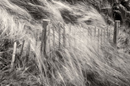 Hand to Earth by Rebecca Brewin